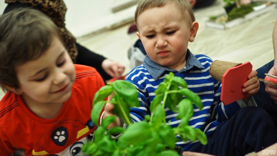 Dom Kultuty INSPIRO2