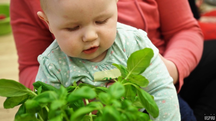 Dom Kultuty INSPIRO33