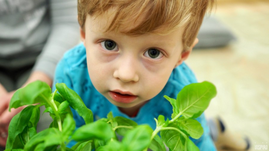 Dom Kultuty INSPIRO6