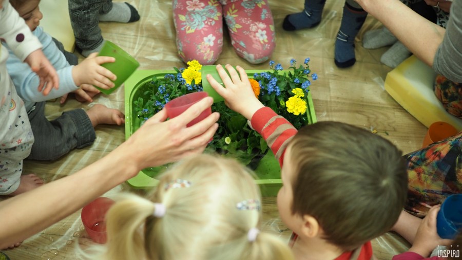 Dom Kultuty INSPIRO1