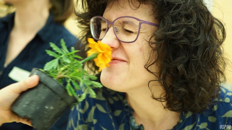 Dom Kultuty INSPIRO1