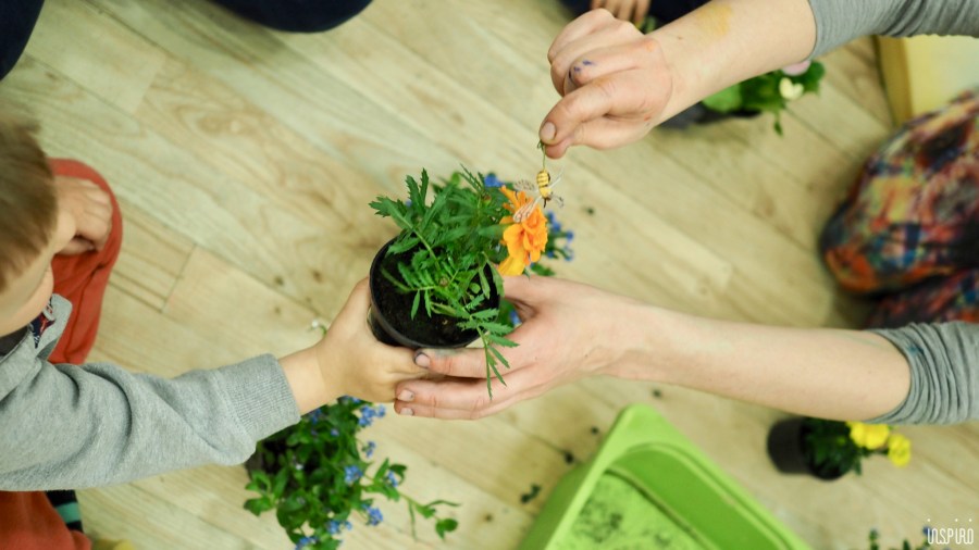 Dom Kultuty INSPIRO17