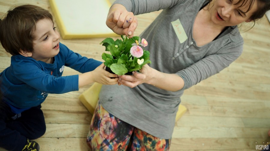 Dom Kultuty INSPIRO20