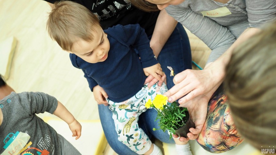 Dom Kultuty INSPIRO33