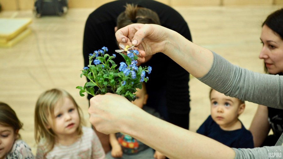 Dom Kultuty INSPIRO34