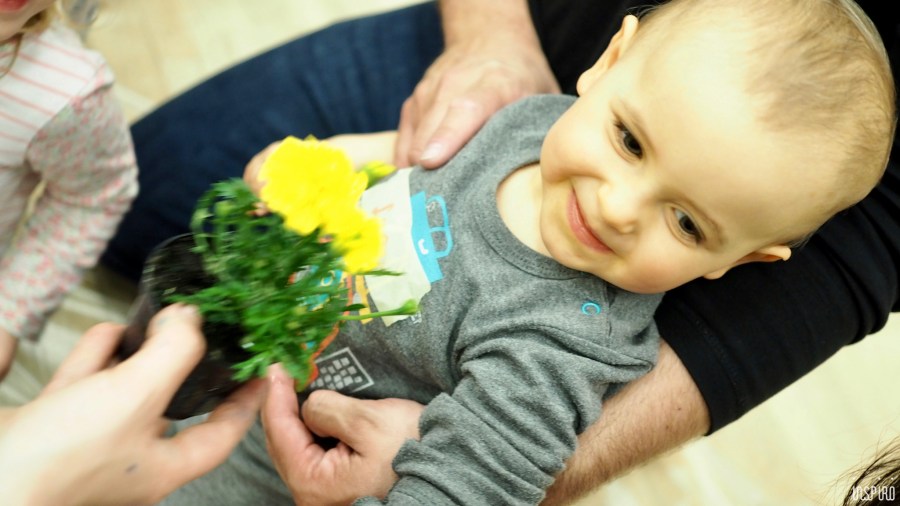 Dom Kultuty INSPIRO36