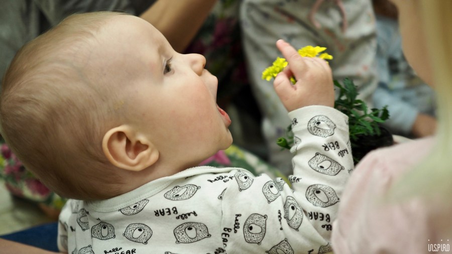 Dom Kultuty INSPIRO37