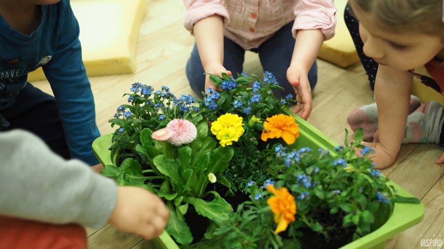 Dom Kultuty INSPIRO5