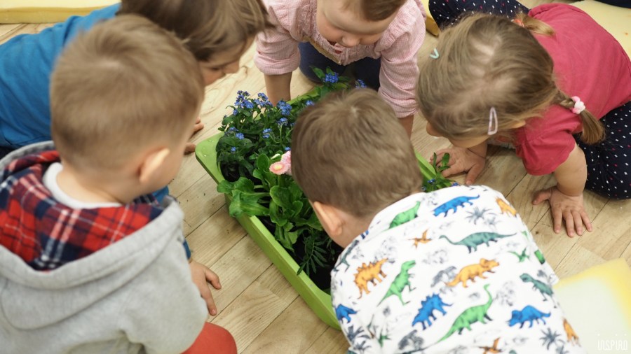 Dom Kultuty INSPIRO7