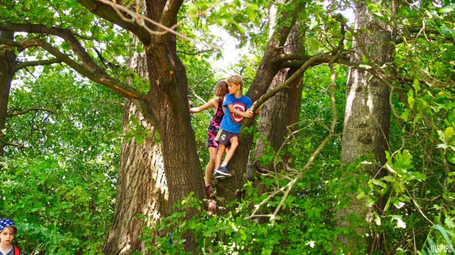 Dom Kultuty INSPIRO88