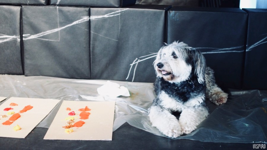 Dom Kultuty INSPIRO11