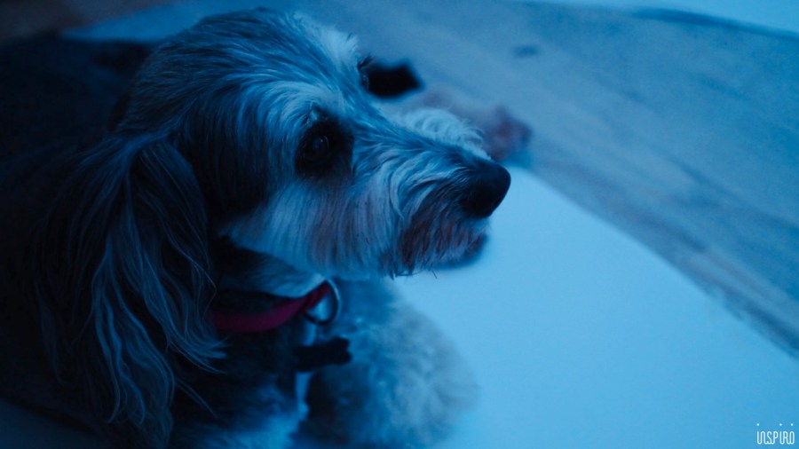 Dom Kultuty INSPIRO26