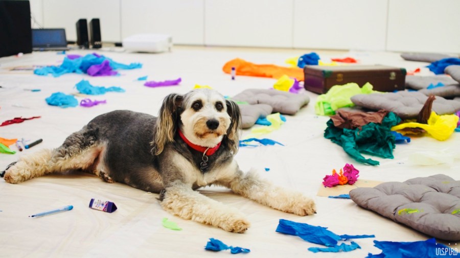 Dom Kultuty INSPIRO62